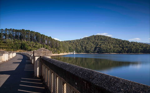 Maroondah Reservoir Park - Accommodation Mount Tamborine 0