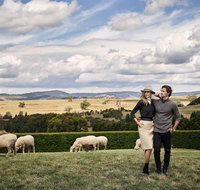 Merino and Co
