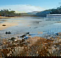 Merrica River Nature Trail - Accommodation Mount Tamborine