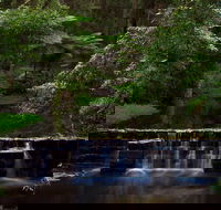 Millards Creek Walk and Cycleway - Accommodation Mount Tamborine