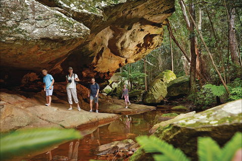 Monto - Accommodation Mount Tamborine 0