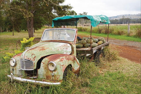 Monto - Accommodation Mount Tamborine 2