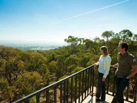 Monument Hill Reserve - Accommodation Mount Tamborine 0