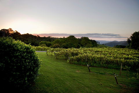 Montville - Accommodation Mount Tamborine 1