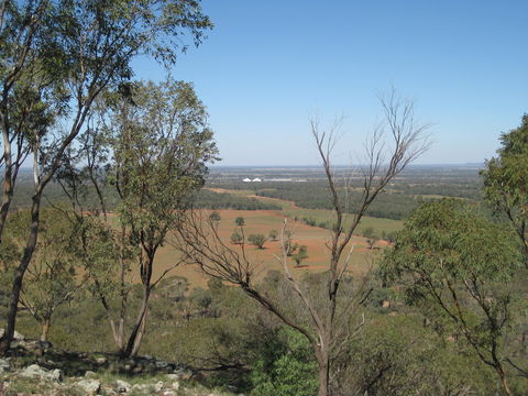 Mount Tilga - Accommodation Mount Tamborine 0