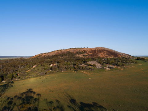 Mount Wudinna - Accommodation Mount Tamborine 1