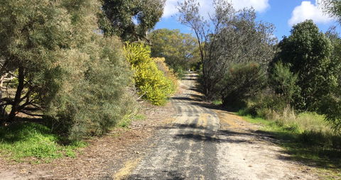 Naracoorte North Nature Park - Accommodation Mount Tamborine 0