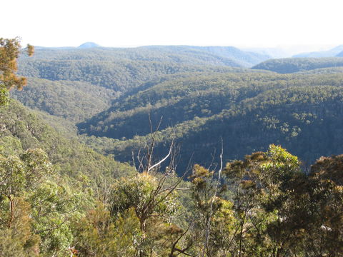 Nattai Gorge Lookout - Accommodation Mount Tamborine 1