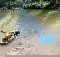 Neurum Creek Campgrounds - Accommodation Mount Tamborine