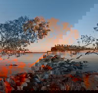 Peery Lake - Accommodation Mount Tamborine