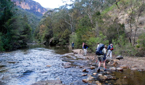 Pierces Pass - Accommodation Mount Tamborine 0