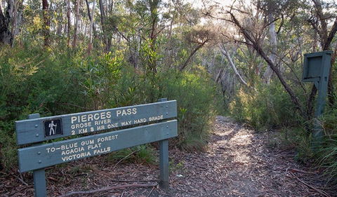 Pierces Pass - Accommodation Mount Tamborine 1