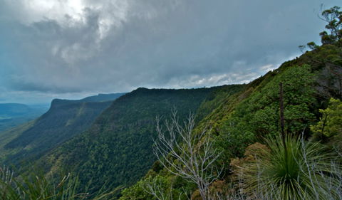Pinnacle Walk And Lookout - Accommodation Mount Tamborine 0