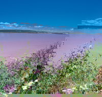 Port Gregory - Accommodation Mount Tamborine