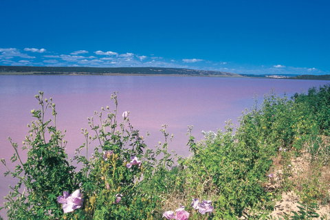 Port Gregory - Accommodation Mount Tamborine 0