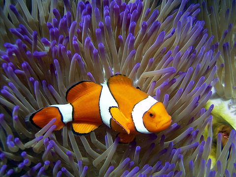 Reef HQ Aquarium - Accommodation Mount Tamborine 1