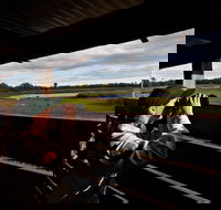 Reed Beds Bird Hide Boardwalk - Accommodation Mount Tamborine