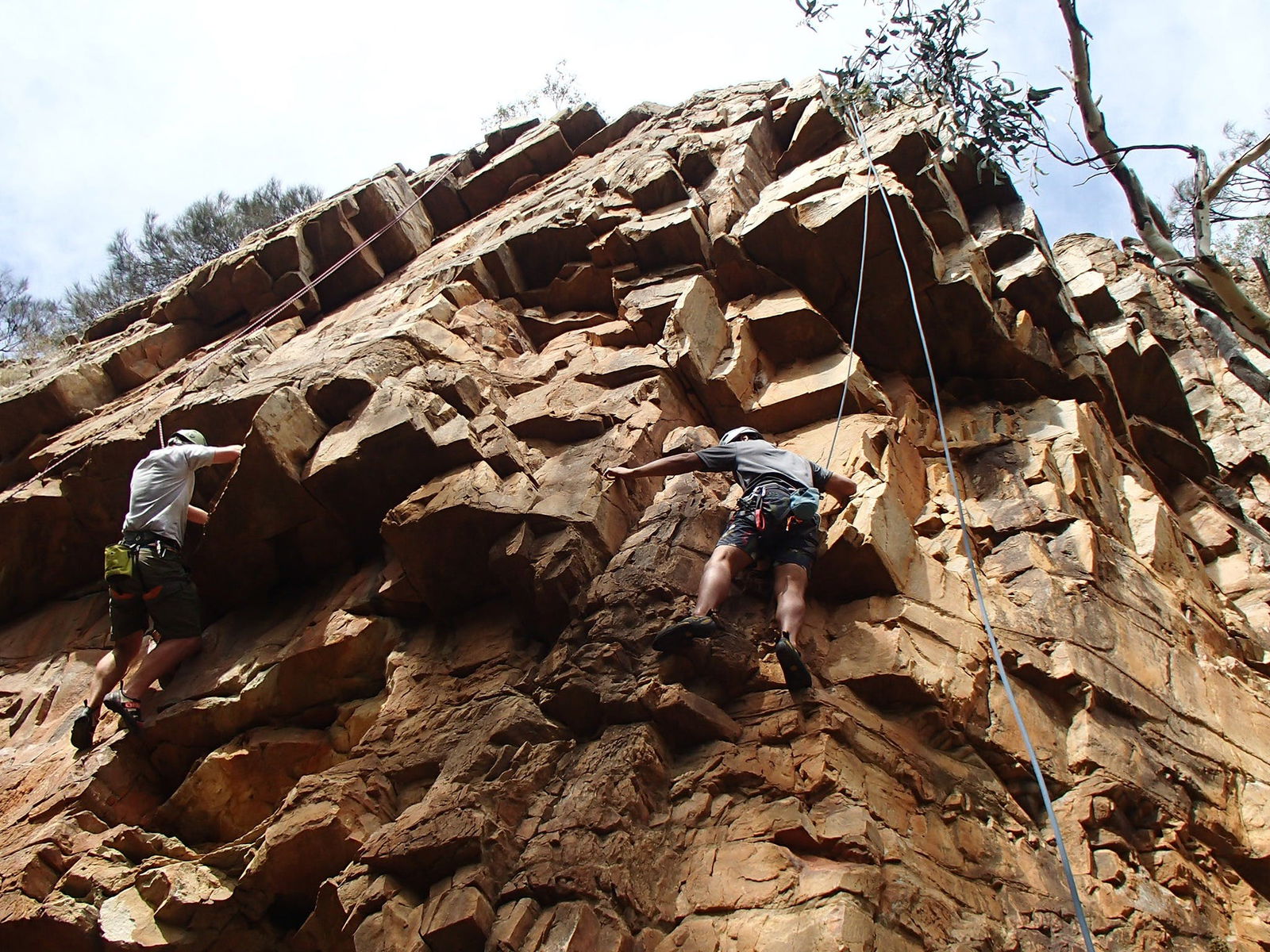 Woodforde SA Accommodation Mount Tamborine