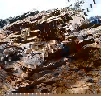 Rock Climbing in Morialta - Accommodation Mount Tamborine
