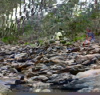Rocksberg Park Heritage Reserve - Accommodation Mount Tamborine
