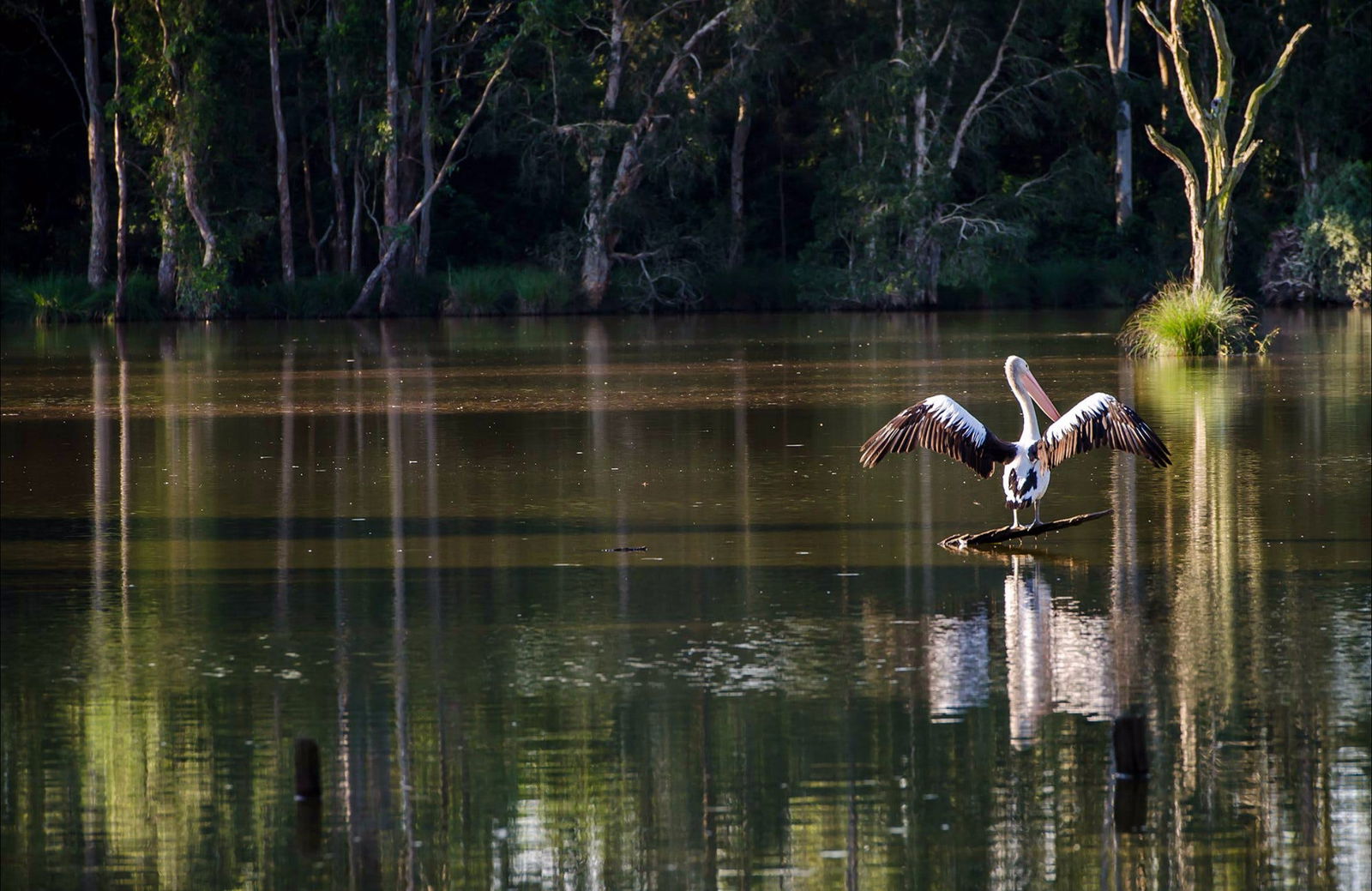 Seaham NSW Accommodation Mount Tamborine