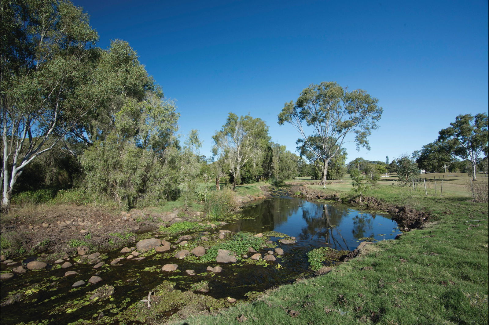 Walkervale QLD Accommodation Mount Tamborine
