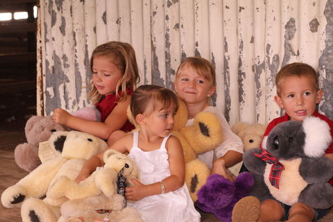 Tambo Teddies - Accommodation Mount Tamborine 0