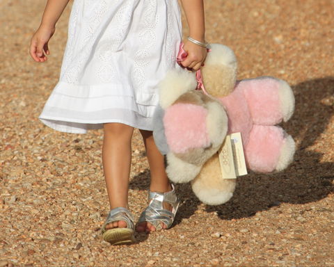 Tambo Teddies - Accommodation Mount Tamborine 2