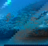 The Zanoni Wreck - Accommodation Mount Tamborine