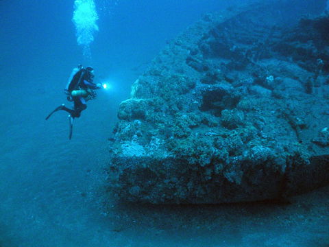 The Zanoni Wreck - Accommodation Mount Tamborine 0