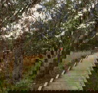 The Briars Park Walking Trails - Accommodation Mount Tamborine