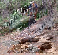 Turner Hill Mountain Bike Trail Murray - Accommodation Mount Tamborine