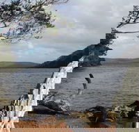 Walpole-Nornalup Inlet - Accommodation Mount Tamborine