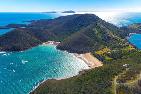 Whale Watching On Keswick Island - Accommodation Mount Tamborine 1