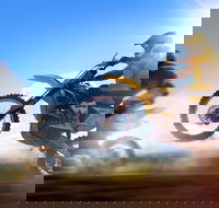 Willowbank MX - Accommodation Mount Tamborine