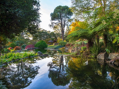 Windyridge Garden Mount Wilson - Accommodation Mount Tamborine 1