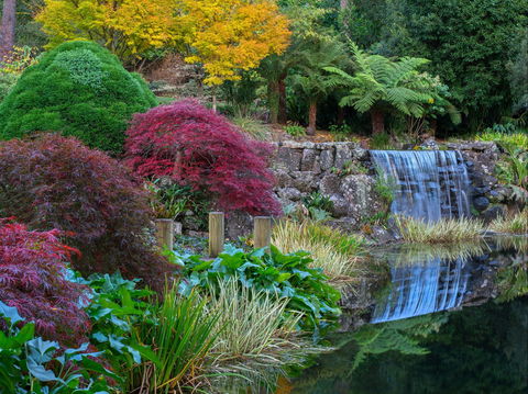 Windyridge Garden Mount Wilson - Accommodation Mount Tamborine 2