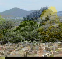 Yackandandah Cemetery - Accommodation Mount Tamborine