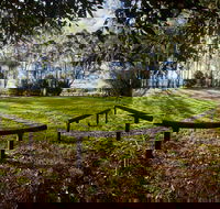 Aboriginal Bora Ring - Accommodation Mount Tamborine