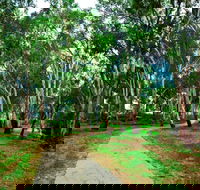 Adungadoo Pathway - Accommodation Mount Tamborine