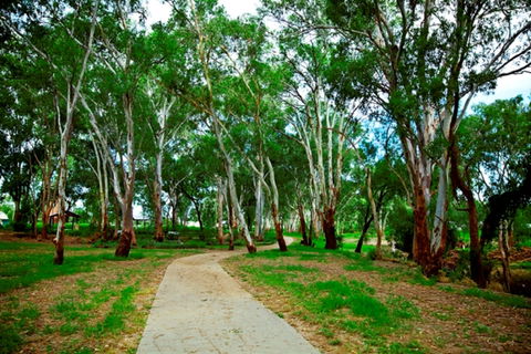 Adungadoo Pathway - Accommodation Mount Tamborine 0