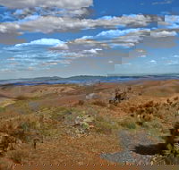 Arden Hills 4WD Track. - Accommodation Mount Tamborine