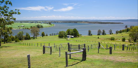 Ashby - Accommodation Mount Tamborine 0