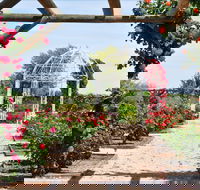Australian Inland Botanic Gardens - Accommodation Mount Tamborine