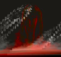 Bangarra Dance Theatre - Accommodation Mount Tamborine