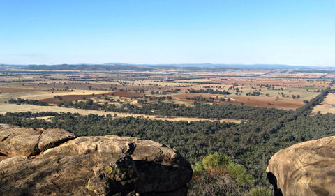 Basin Gully To Eualdrie Lookout Track - Accommodation Mount Tamborine 0