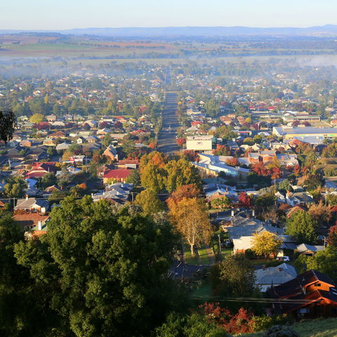 Bellevue Hill Reserve - Accommodation Mount Tamborine 1