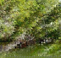 Berry Springs Nature Park - Accommodation Mount Tamborine