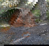 Bindjareb Cultural Park - Accommodation Mount Tamborine