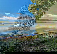 Black Oaks Picnic Area - Accommodation Mount Tamborine
